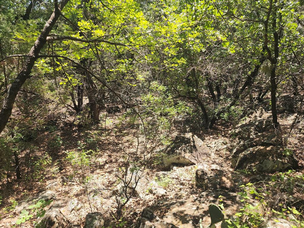 2784 Highway 180 Property Photo 17