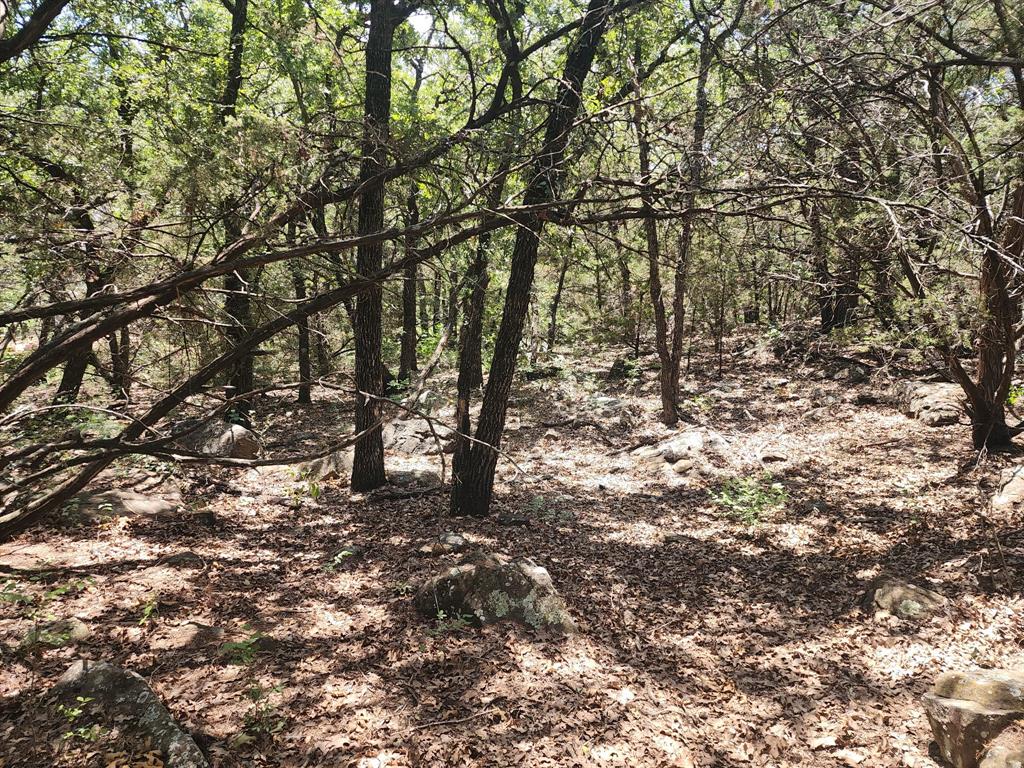 2784 Highway 180 Property Photo 18