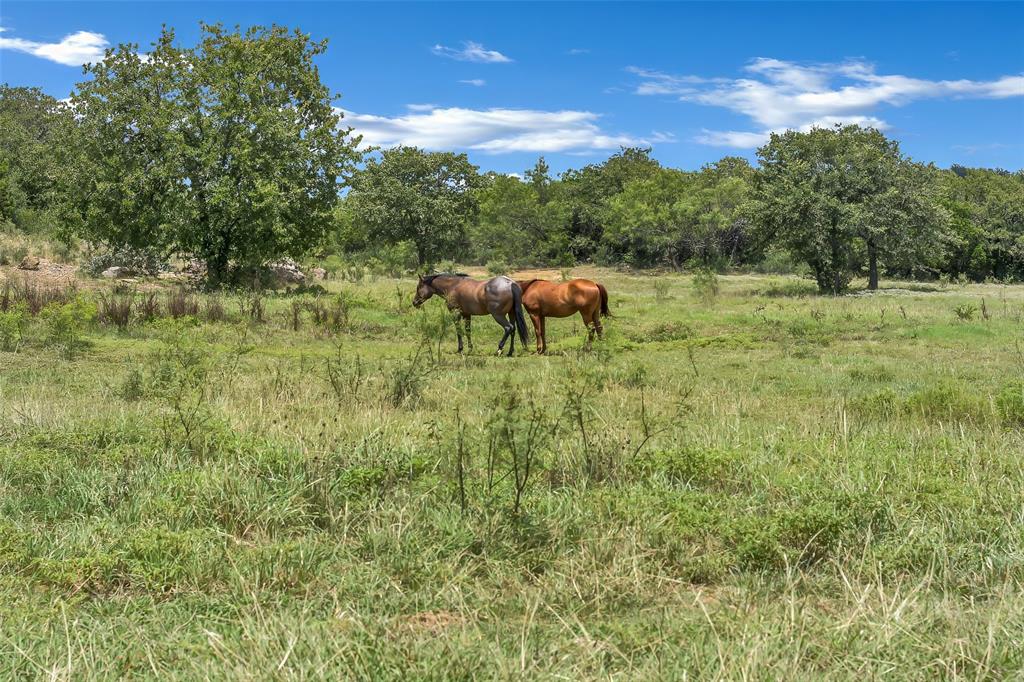 3911 N Highway 281 Property Photo 37