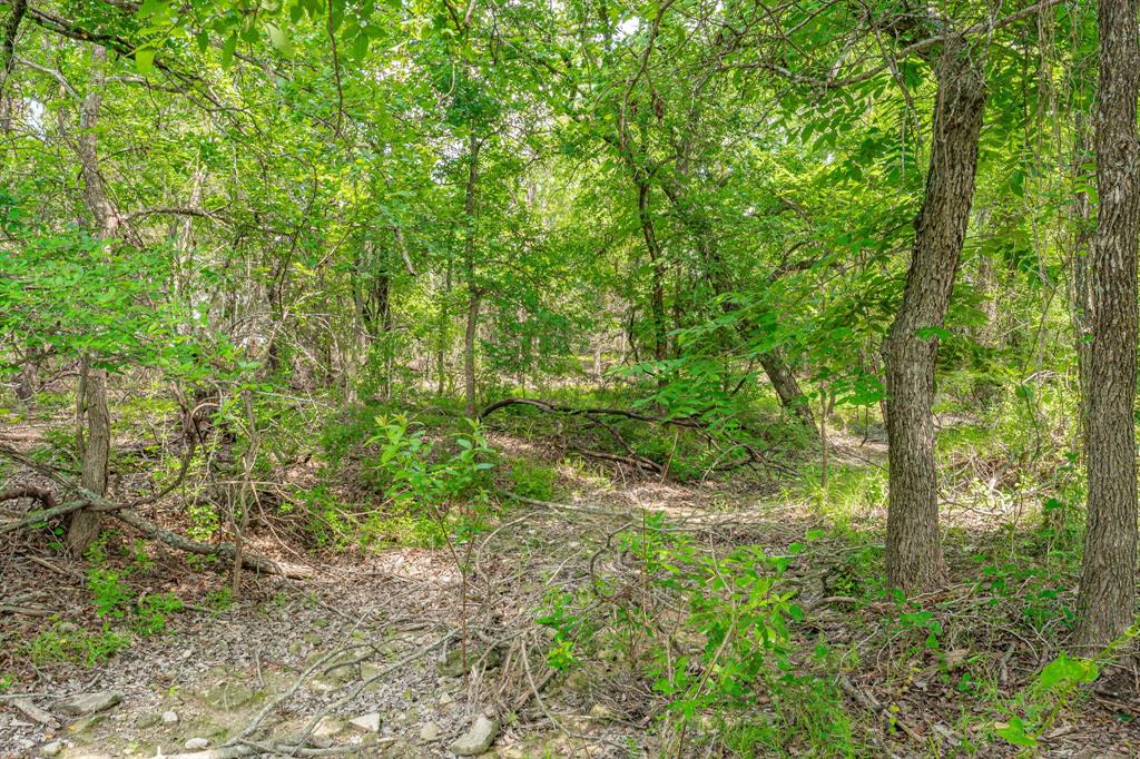 2401 County Road 382 Property Photo 5