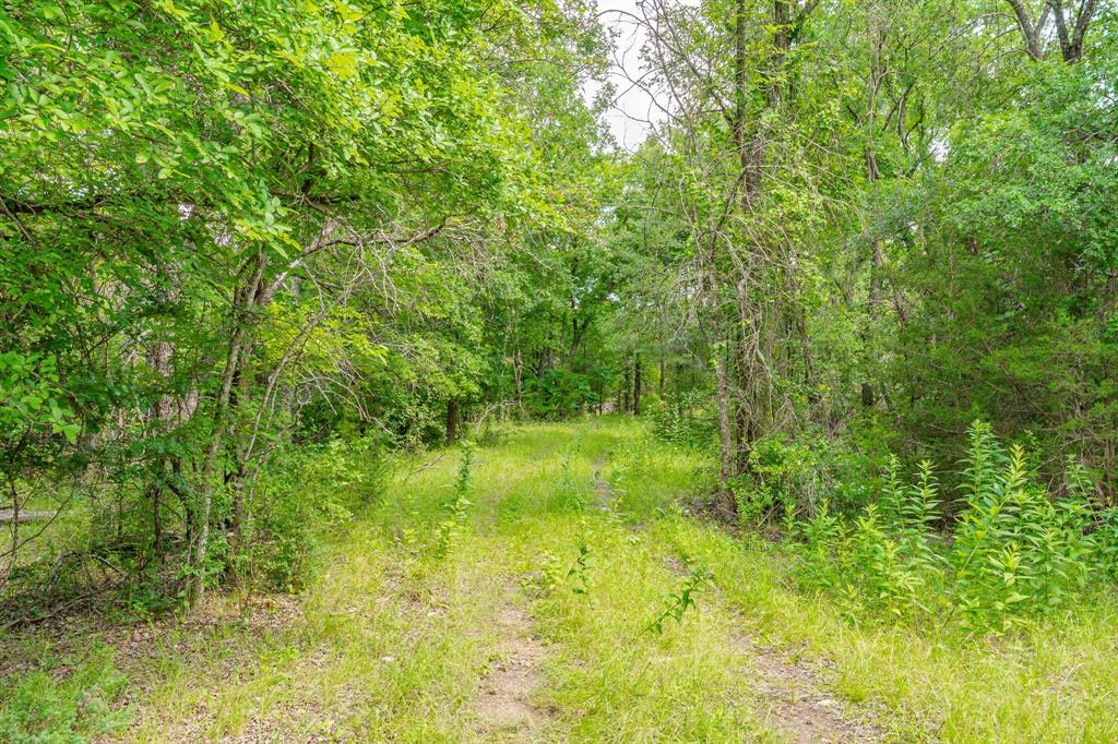 2401 County Road 382 Property Photo 6