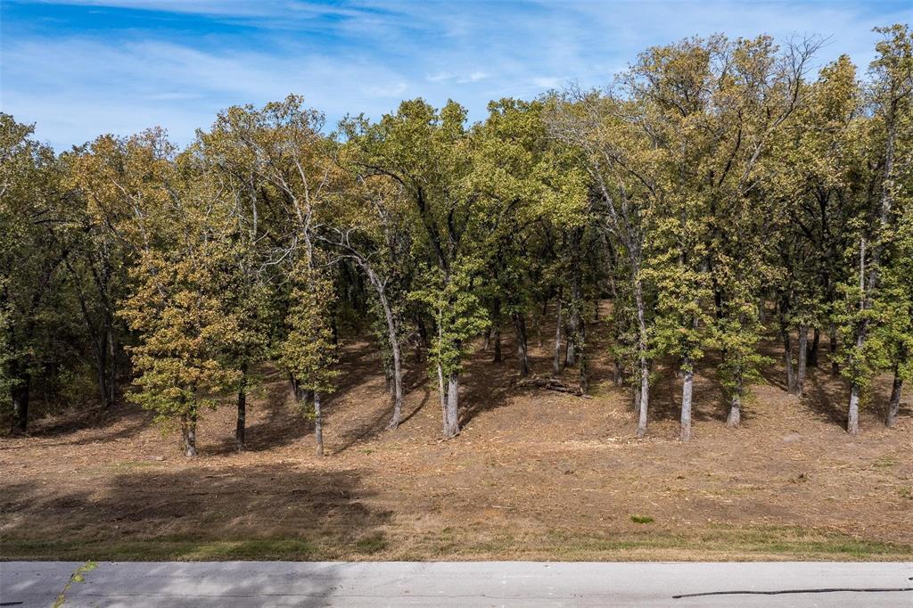 8375 Southern Shore Court Property Photo 3
