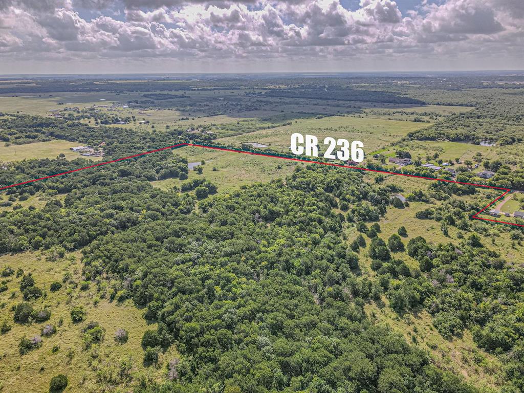 Tbd County Road 236 Property Photo 2