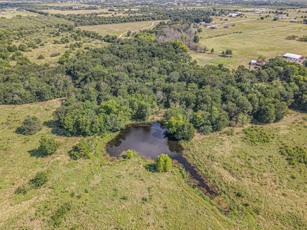 Tbd County Road 236 Property Photo 21