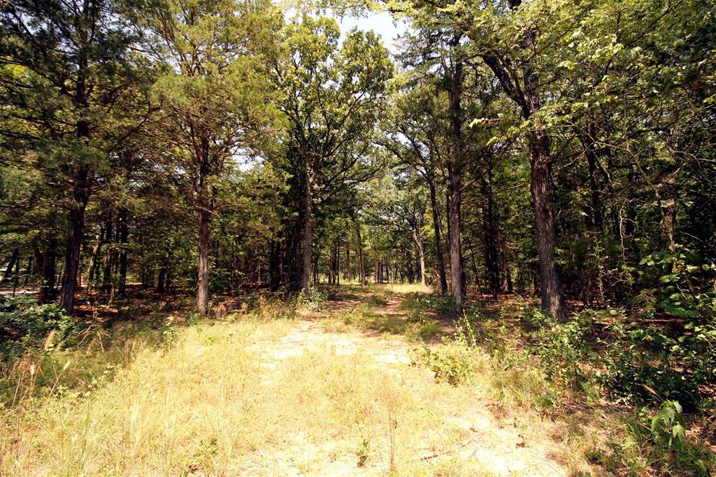 10 County Road 2263 Property Photo 3