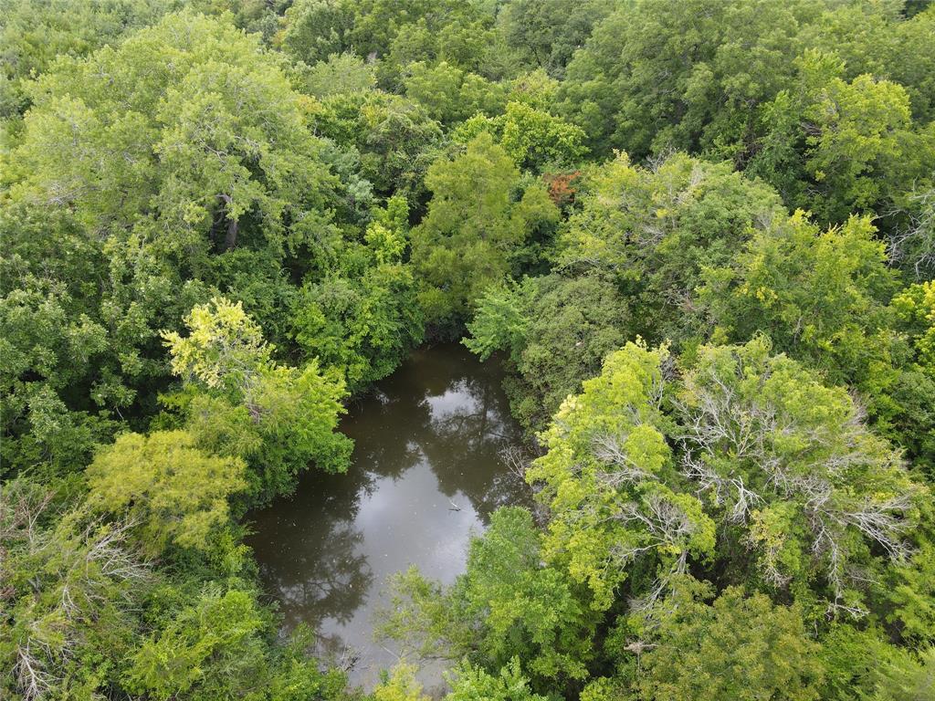Tbd County Road 4245 Property Photo 5
