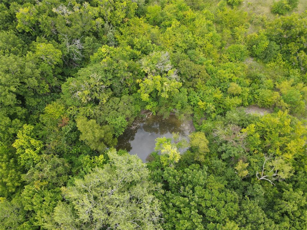 Tbd County Road 4245 Property Photo 8