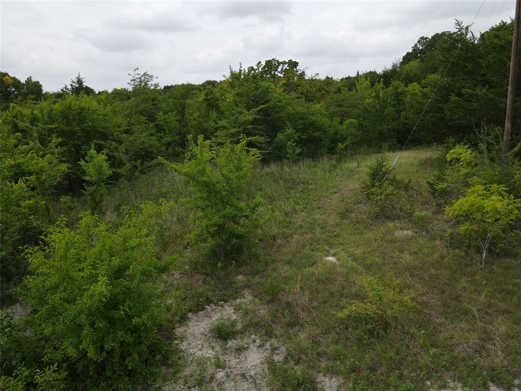 Tbd County Road 4245 Property Photo 10