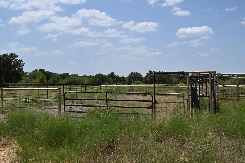 54 Acres Tbd Cr 195 Property Photo 13