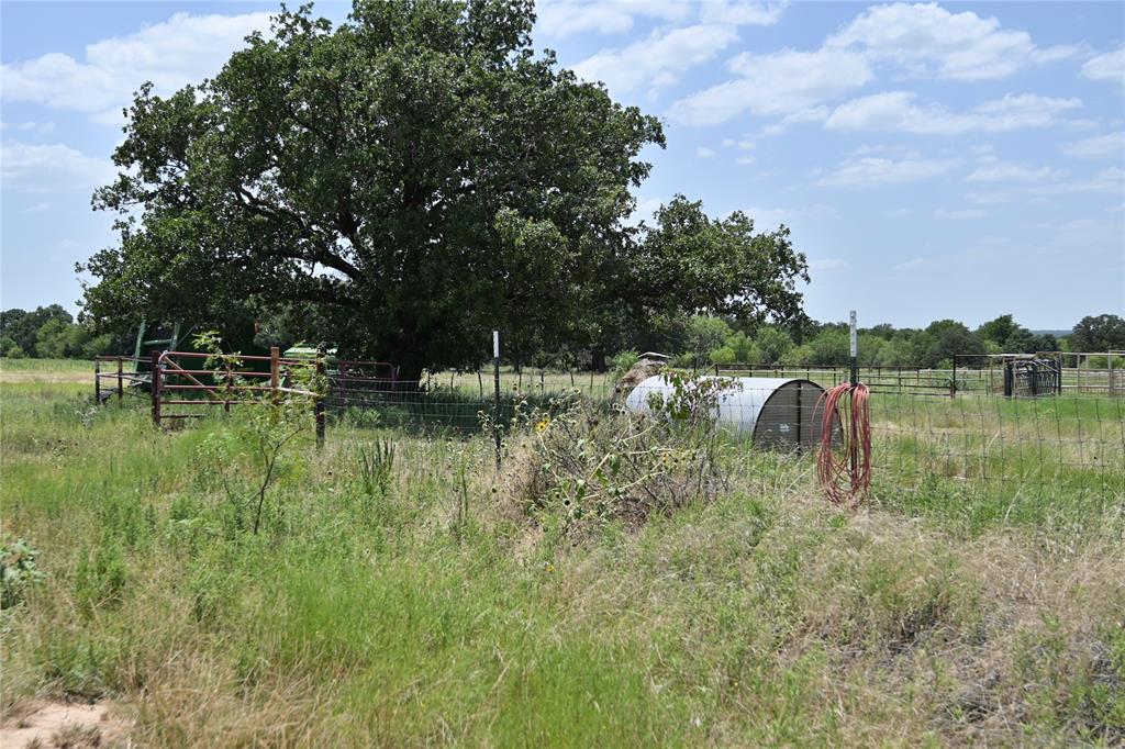 54 Acres Tbd Cr 195 Property Photo 14