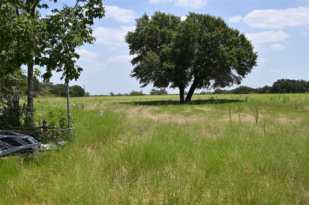 54 Acres Tbd Cr 195 Property Photo 27