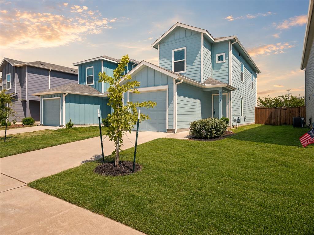 12117 Falabella Drive Property Photo 1