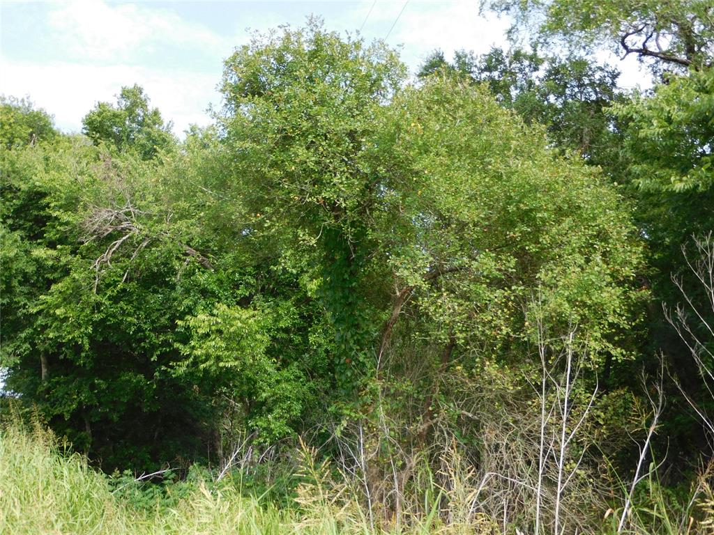 Tbd Fm 2114 Property Photo 3