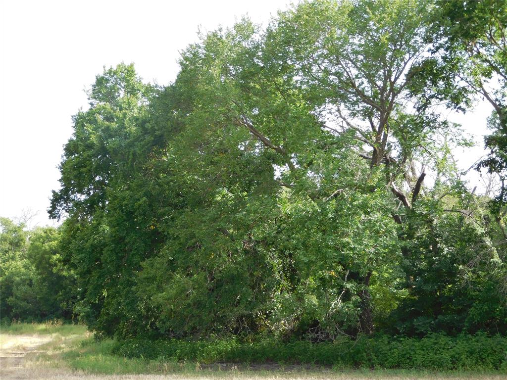 Tbd Fm 2114 Property Photo 4