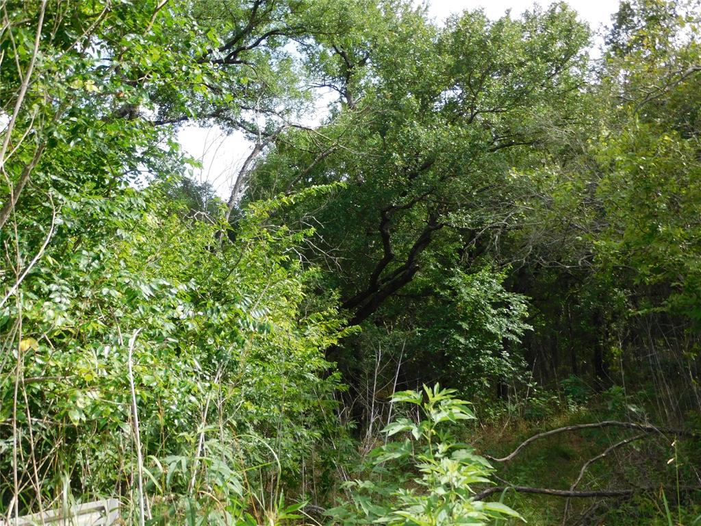 Tbd Fm 2114 Property Photo 5