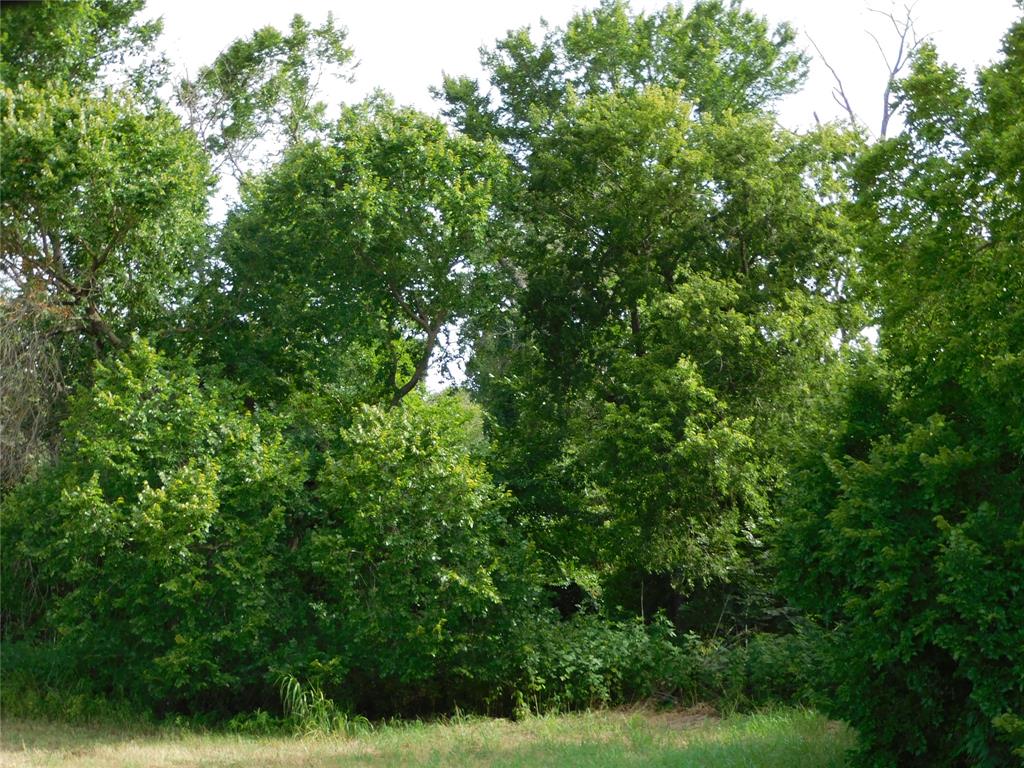Tbd Fm 2114 Property Photo 6