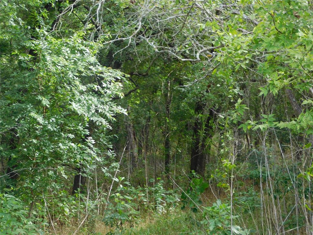 Tbd Fm 2114 Property Photo 7