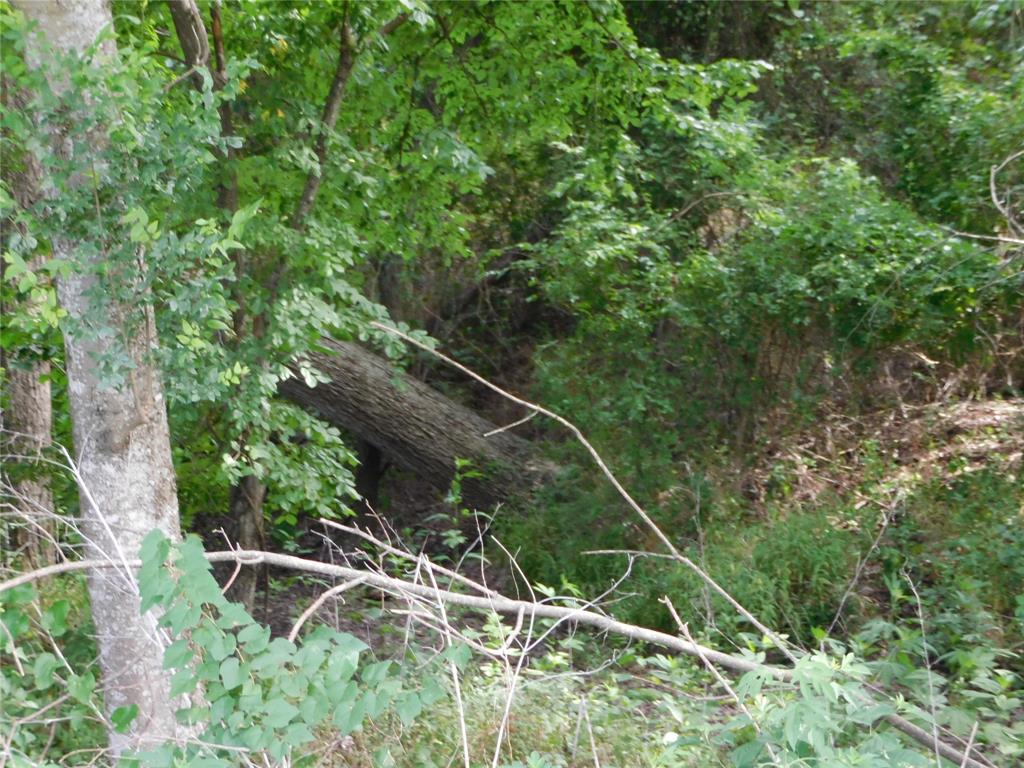 Tbd Fm 2114 Property Photo 9