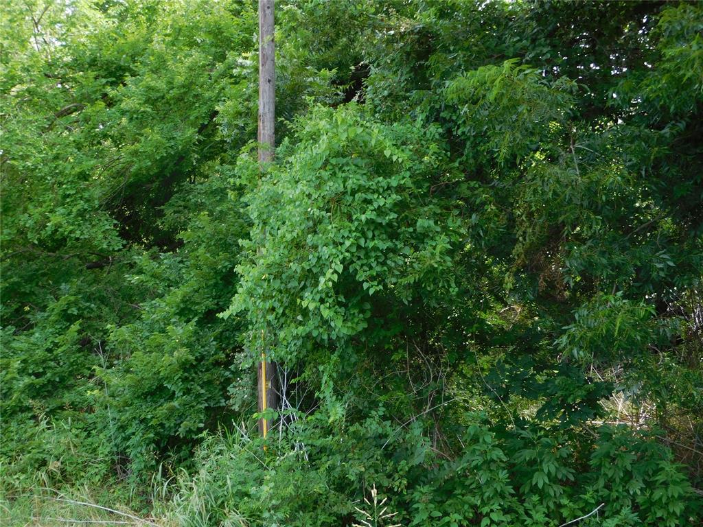 Tbd Fm 2114 Property Photo 10