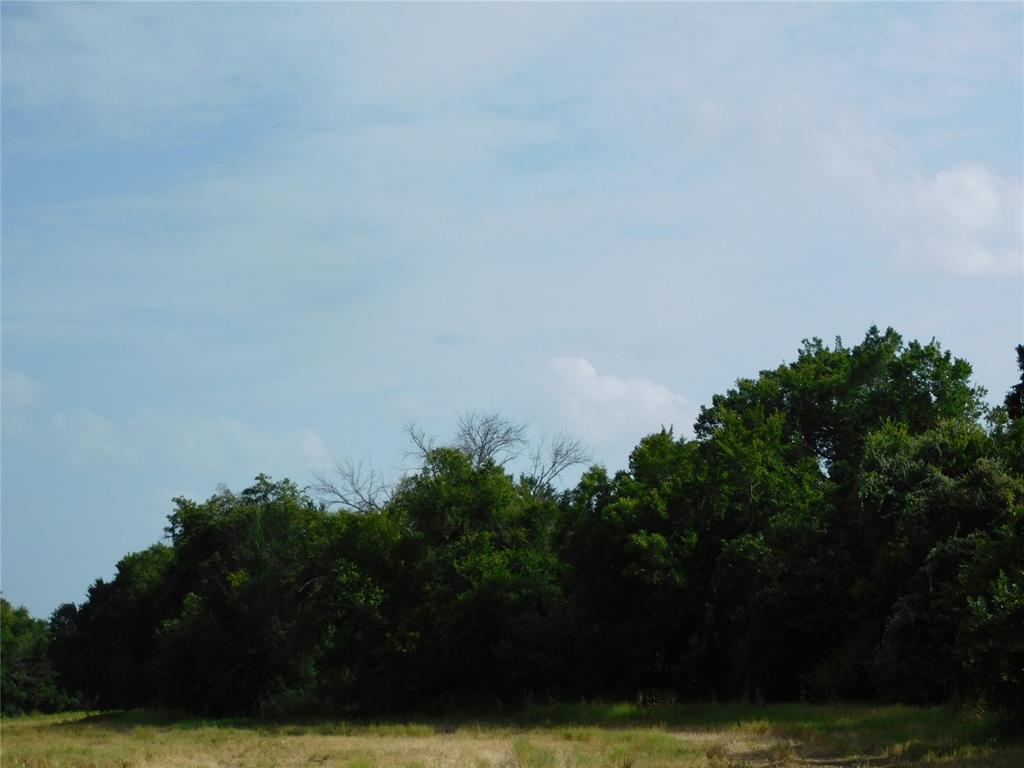 Tbd Fm 2114 Property Photo 11