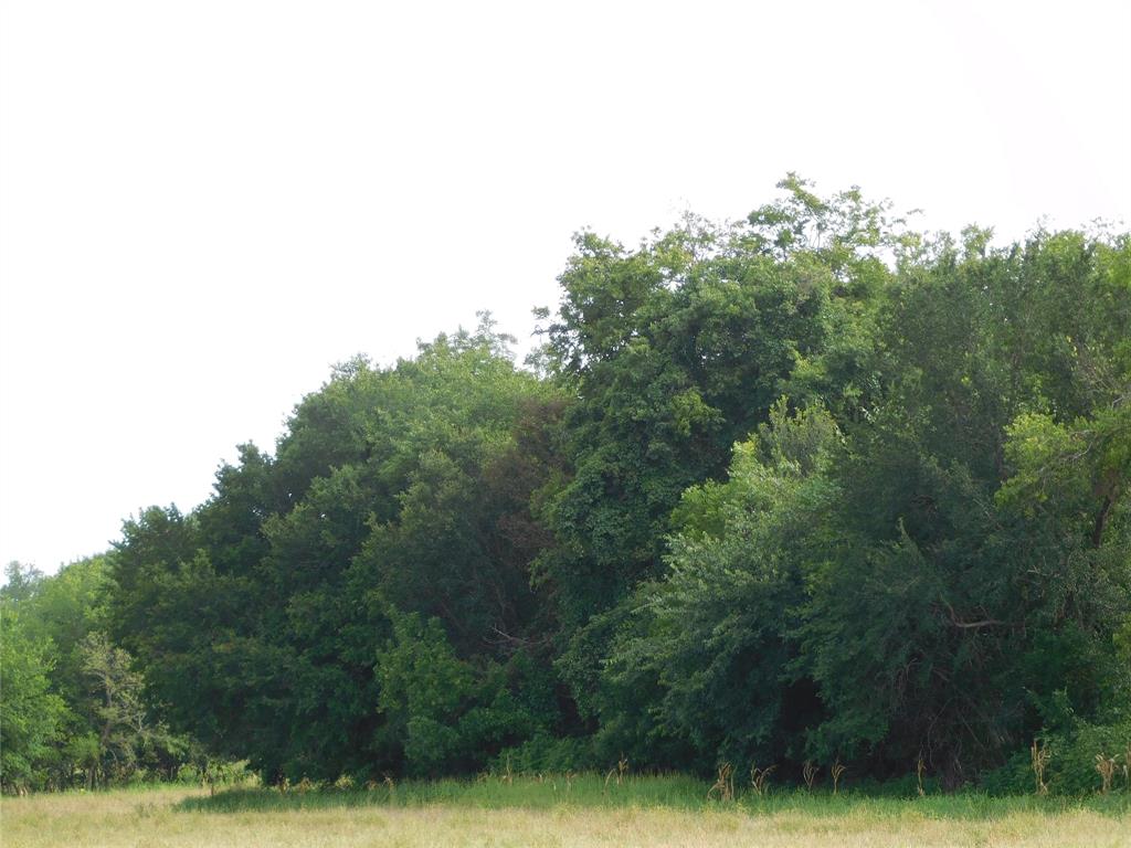 Tbd Fm 2114 Property Photo 12