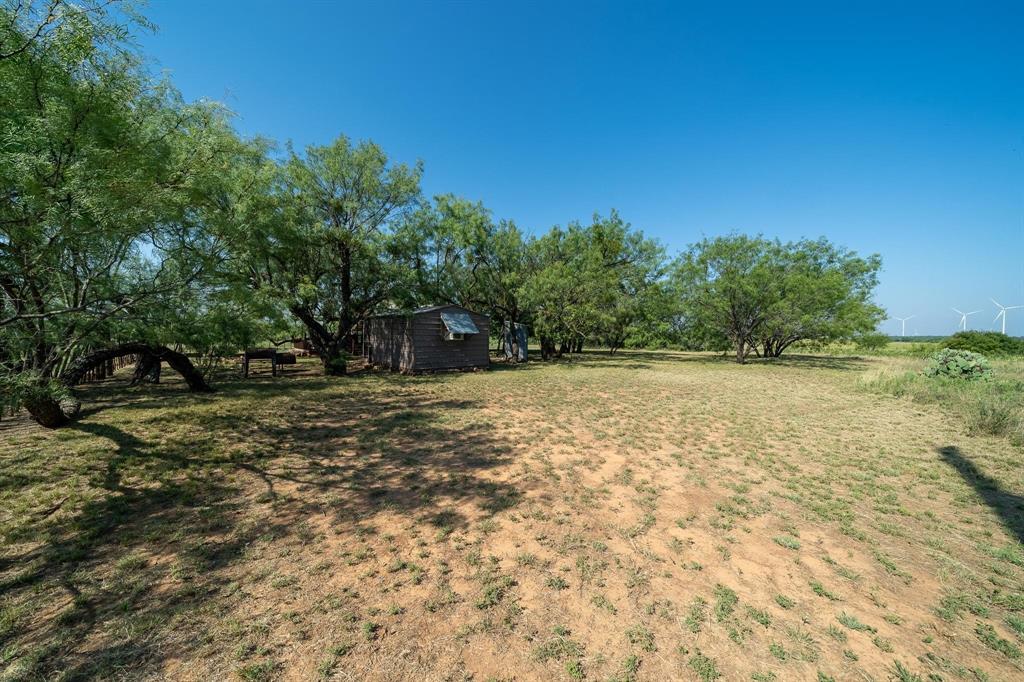 15055 County Road 306 Property Photo 18