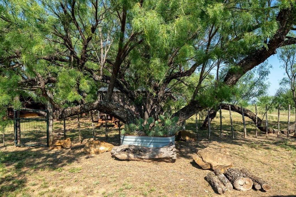 15055 County Road 306 Property Photo 22