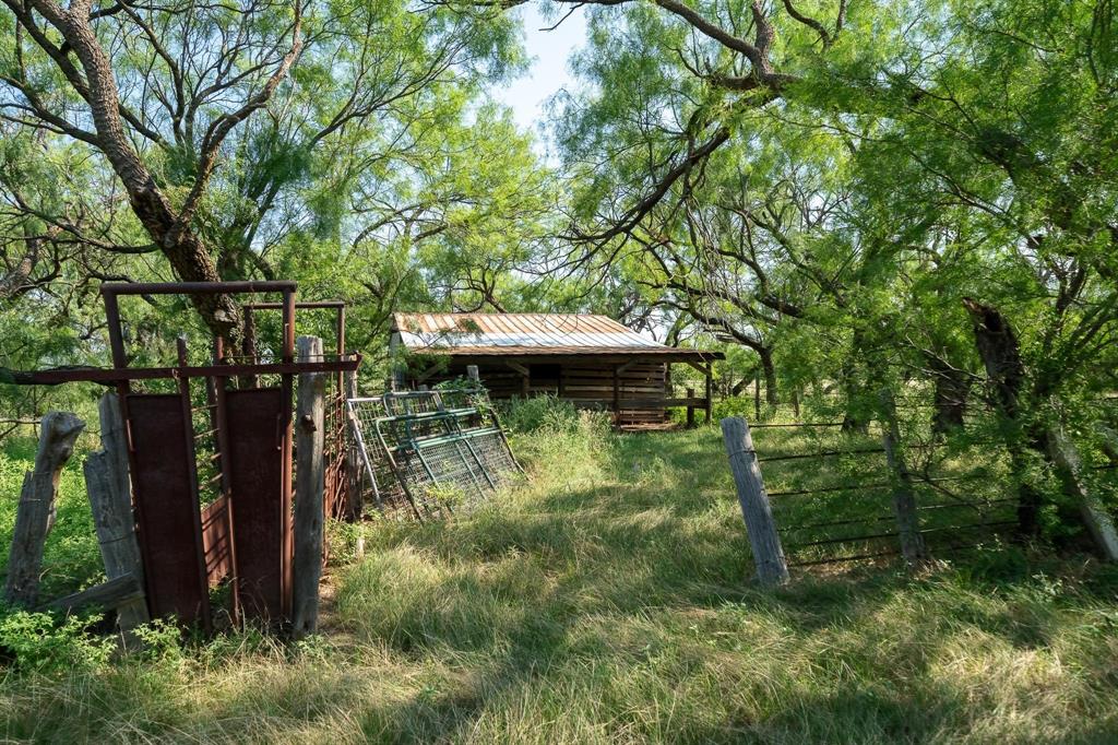 15055 County Road 306 Property Photo 23