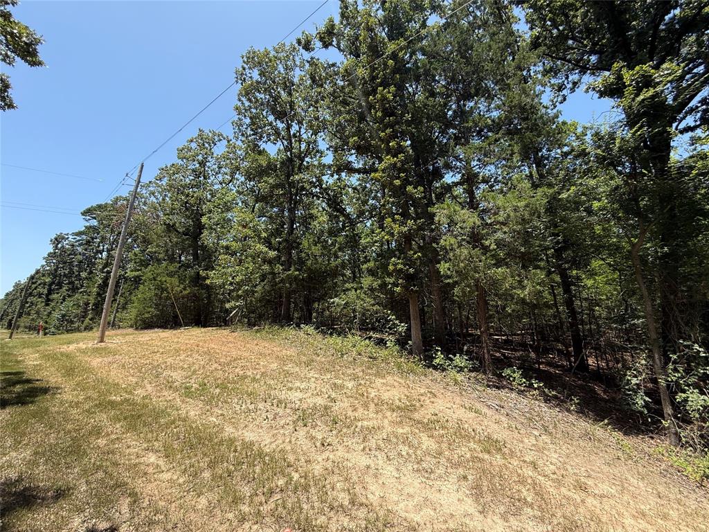 Tbd Whispering Pine Trail Property Photo 1
