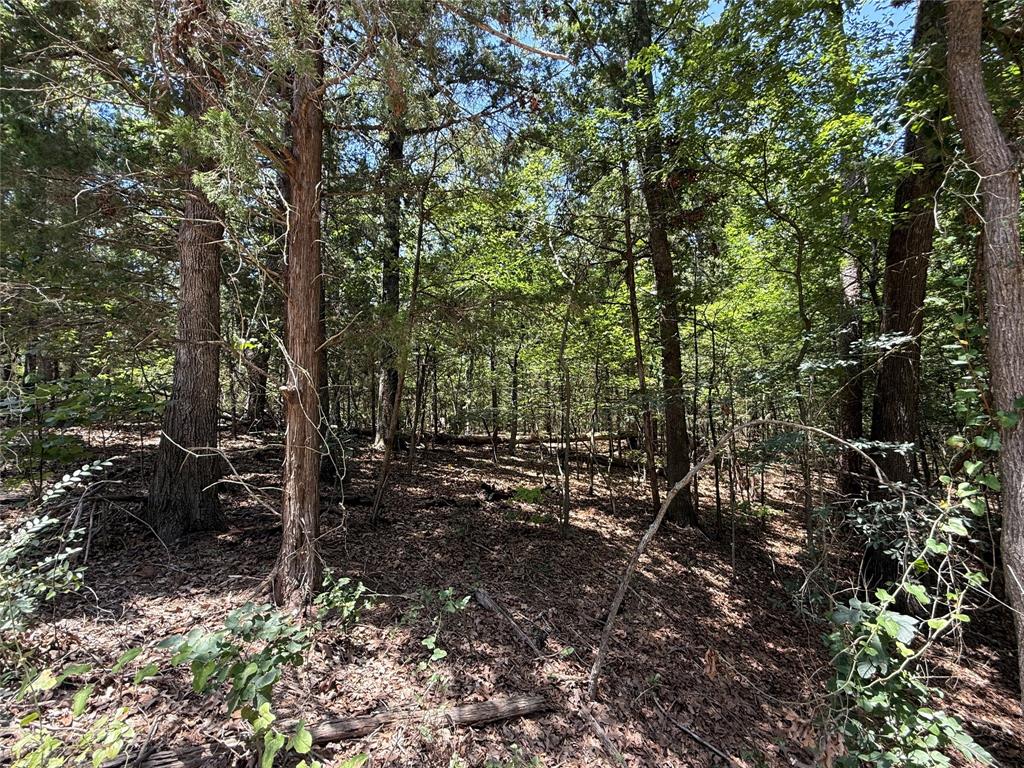 Tbd Whispering Pine Trail Property Photo 2