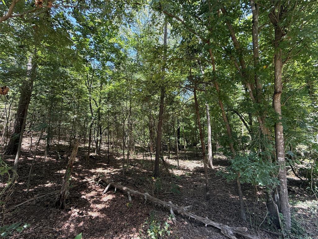 Tbd Whispering Pine Trail Property Photo 3
