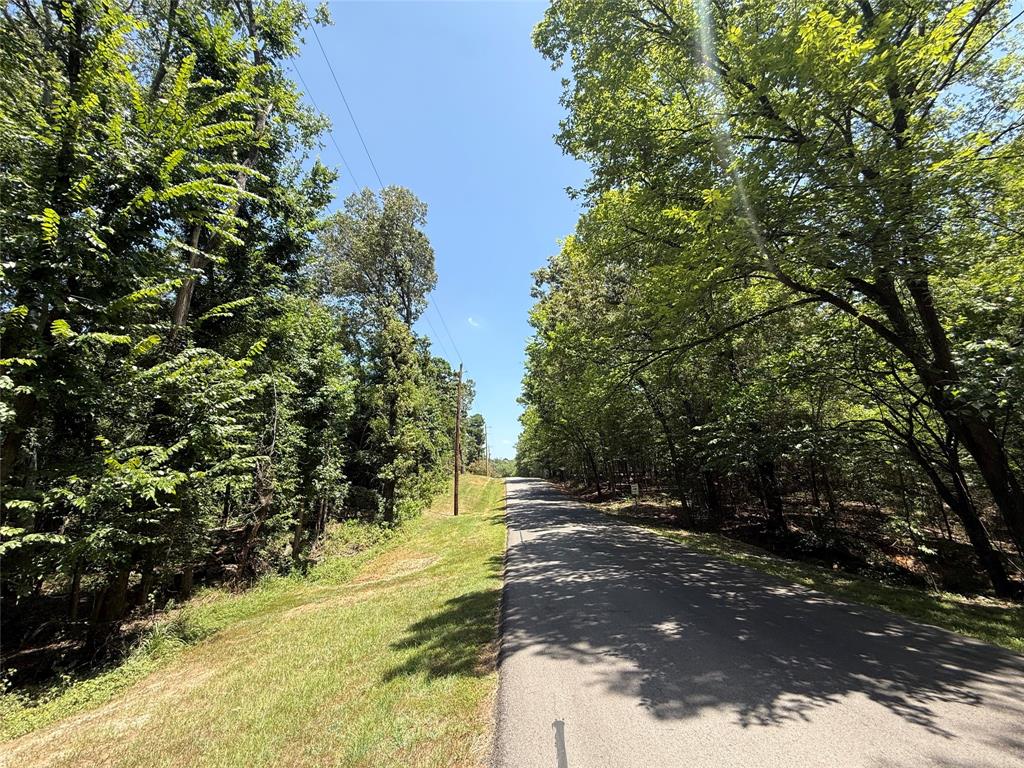 Tbd Whispering Pine Trail Property Photo 4