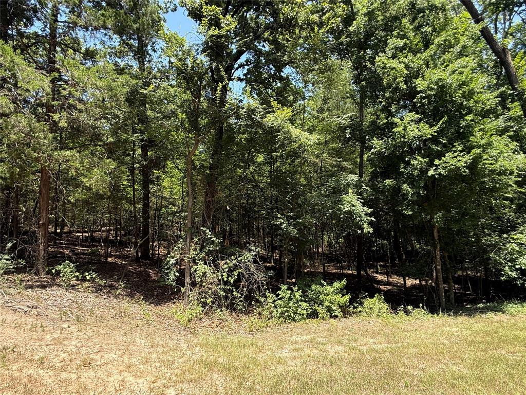 Tbd Whispering Pine Trail Property Photo 2
