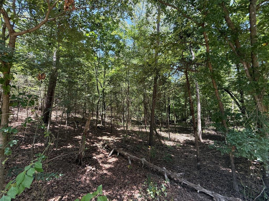Tbd Whispering Pine Trail Property Photo 3