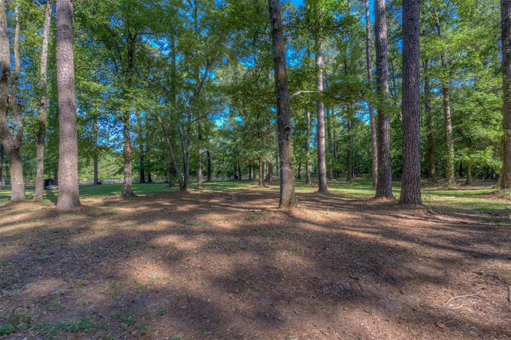 447 Burrow Lane Property Photo 30