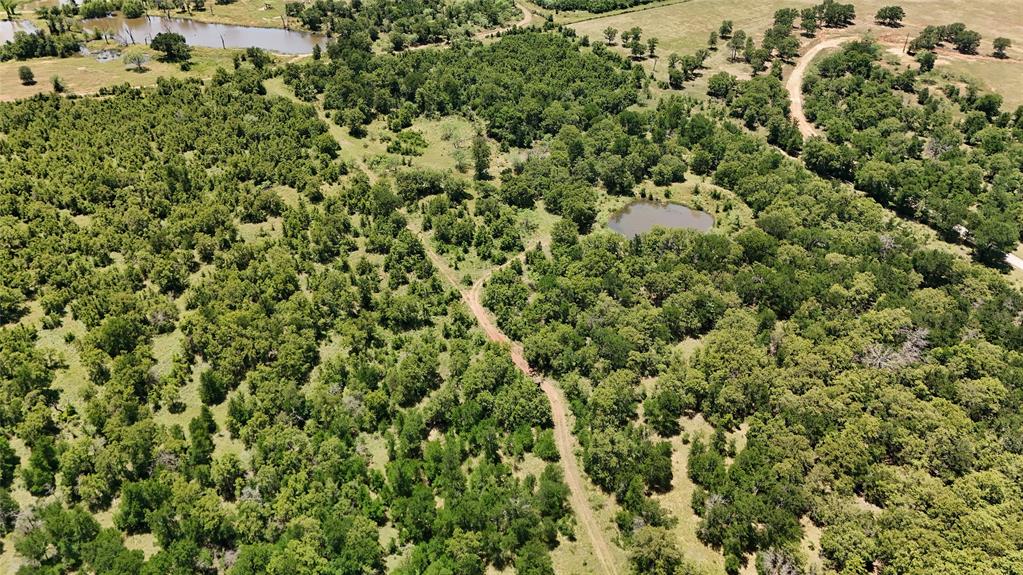 Tbd Fm 2075 Property Photo 15