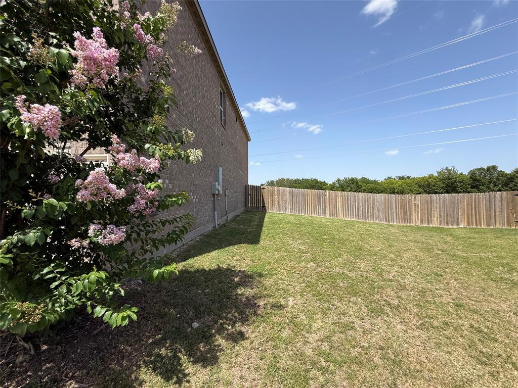 176 Banjo Trail Property Photo 5
