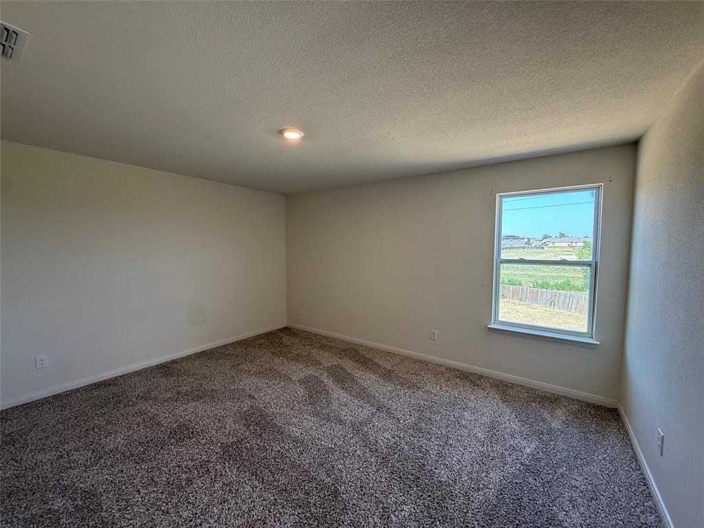 176 Banjo Trail Property Photo 28