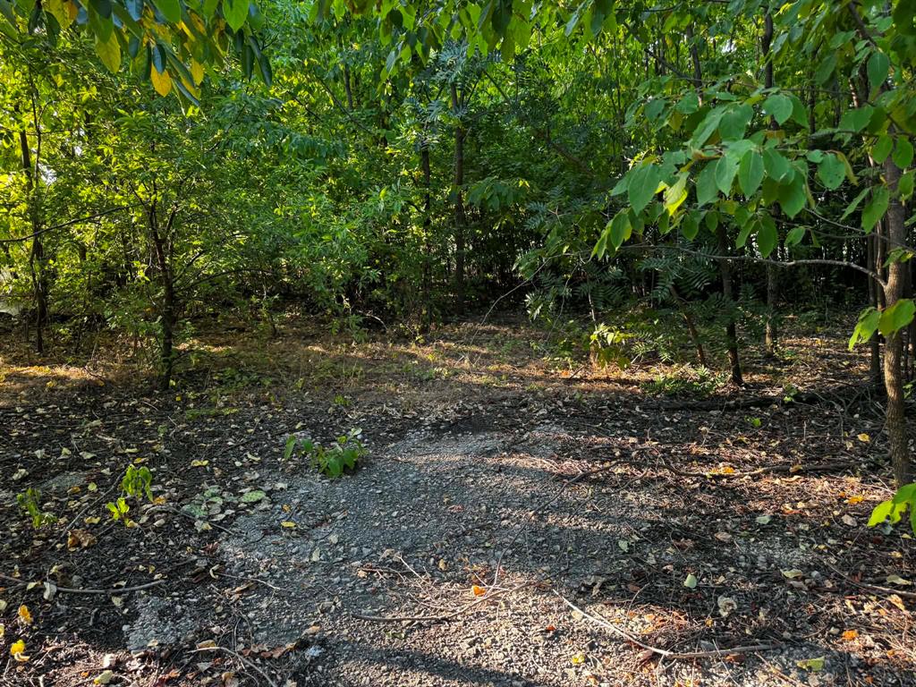 4270 Belz Road Property Photo 3