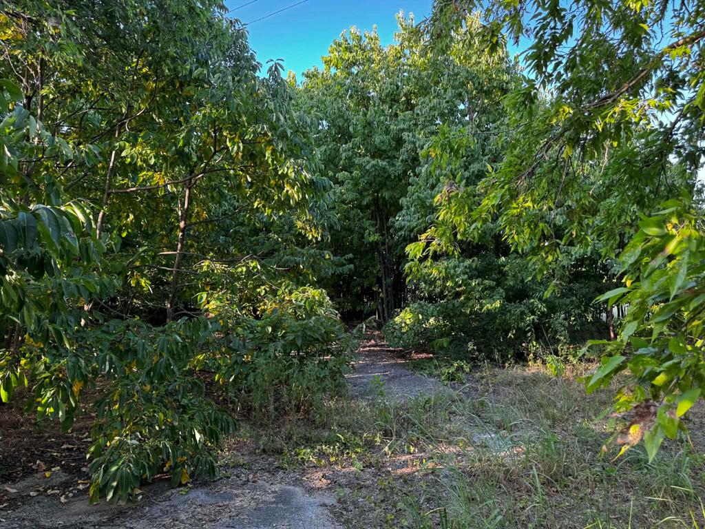 4270 Belz Road Property Photo 4