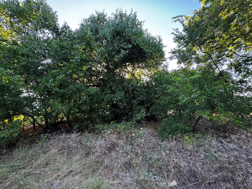 4270 Belz Road Property Photo 25