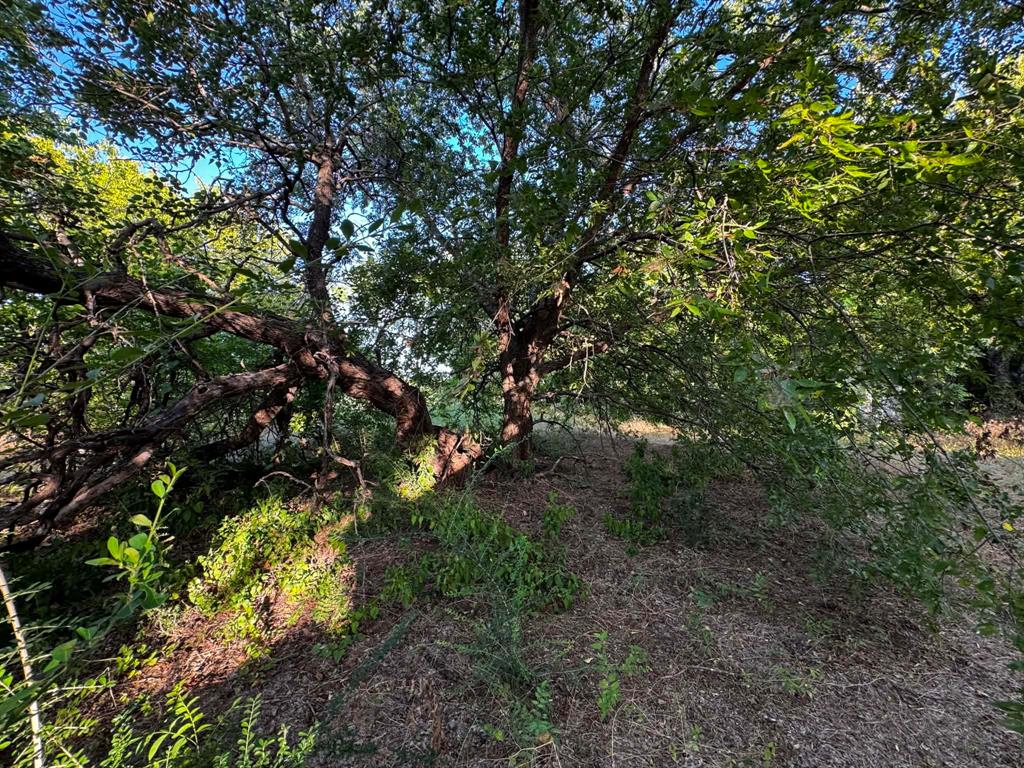4270 Belz Road Property Photo 27