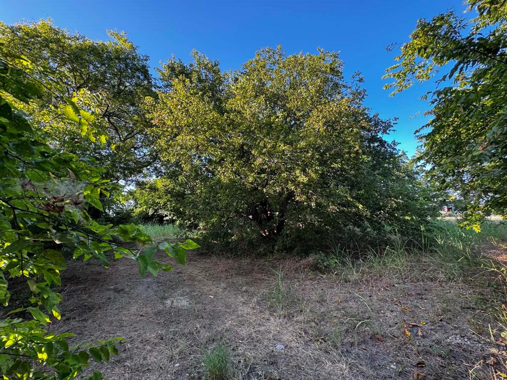 4270 Belz Road Property Photo 31