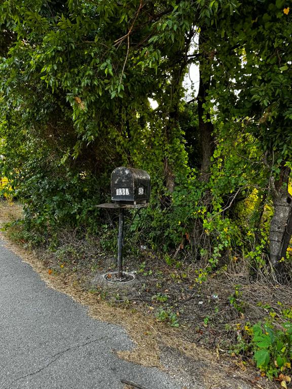 4270 Belz Road Property Photo 33