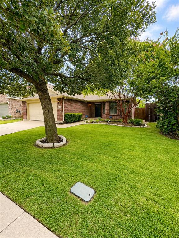 1516 Canary Drive Property Photo 3