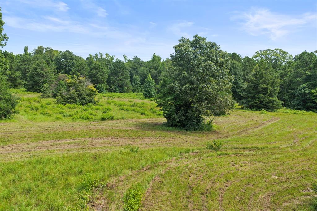 1381 County Road 1763 Property Photo 1