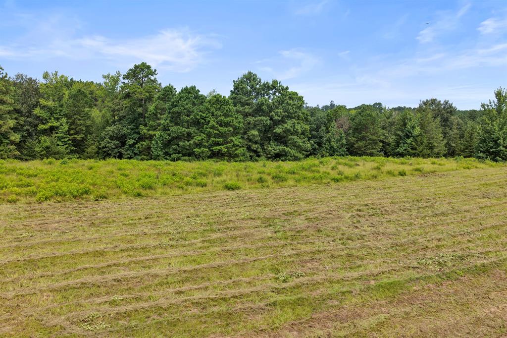 1381 County Road 1763 Property Photo 19