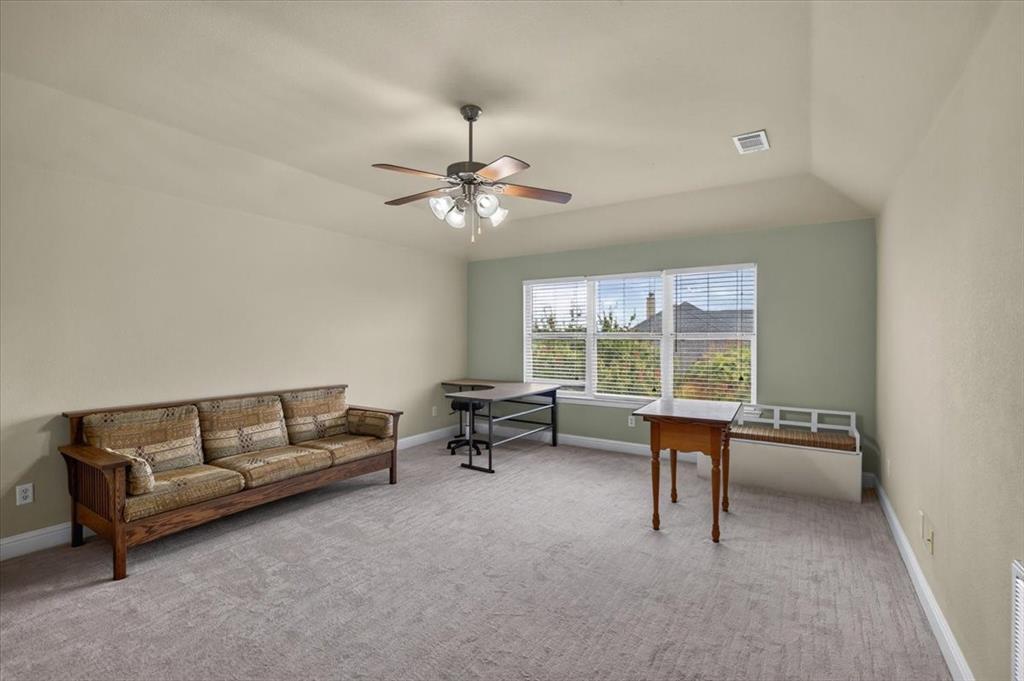 10165 Bantry Lane Property Photo 20