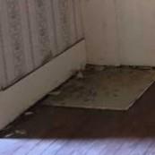 210 Clinton Street Property Photo 7