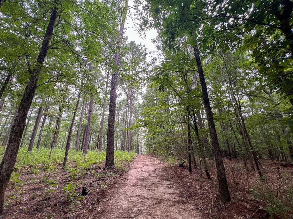 T-2 Arledge Trail/off Gateway Meadows Property Photo 9